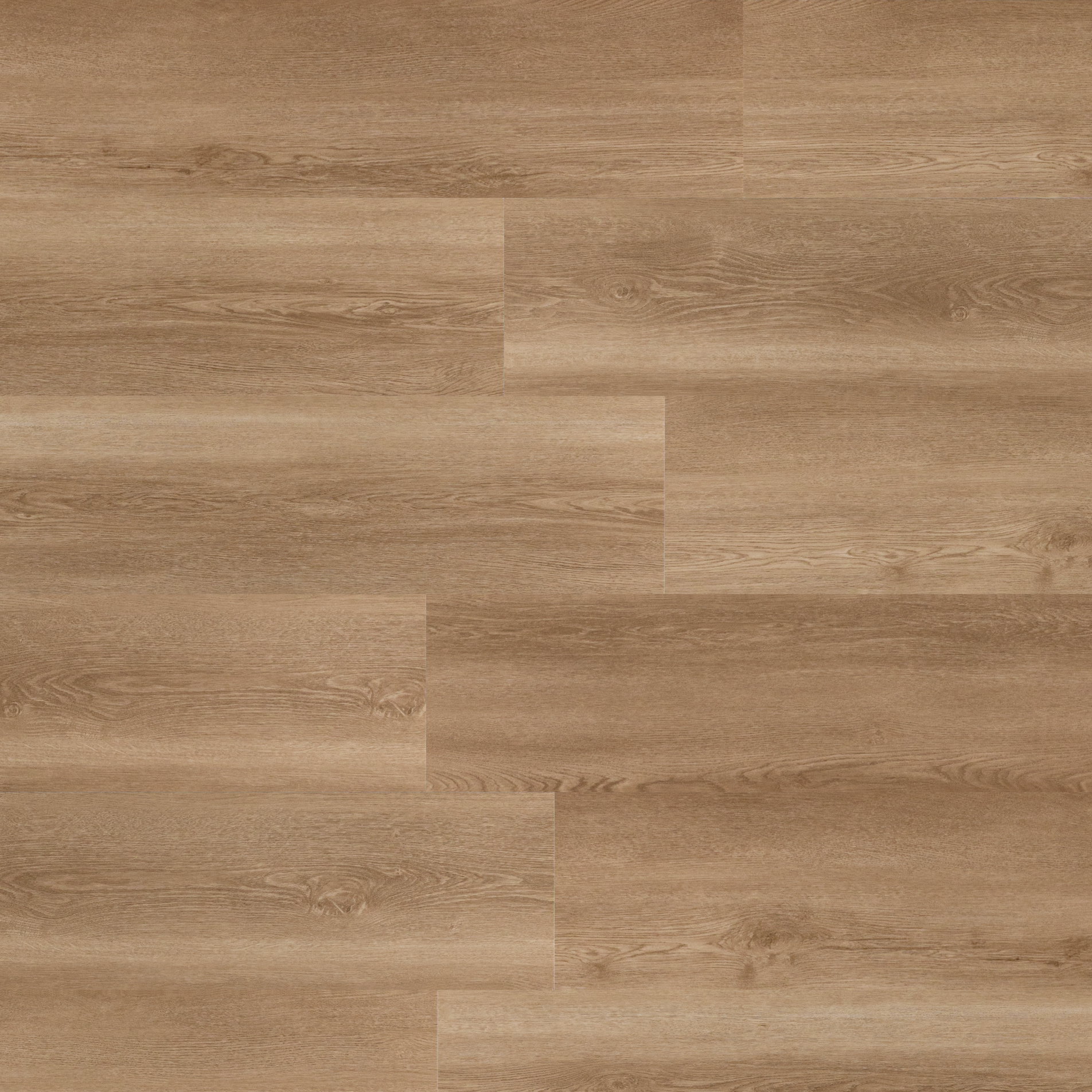 VOX_Rigio_Veyra_Oak_medium